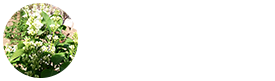 潍坊润丰园林科技发展有限公司