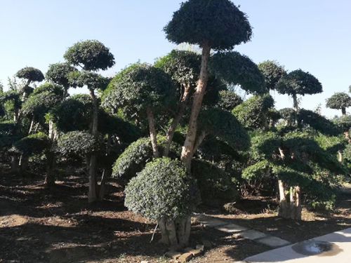 工程案例