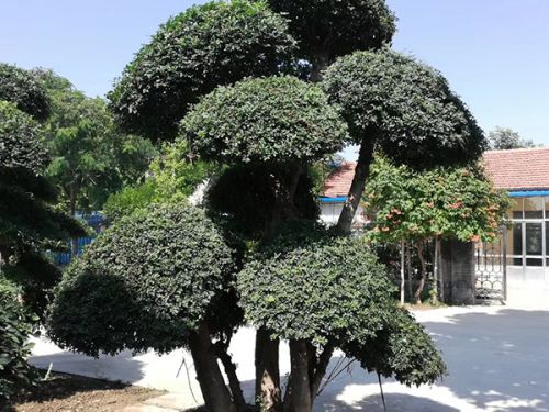 工程案例